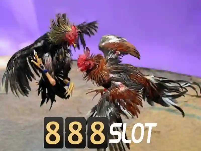 An toàn và bảo mật tại 888slot