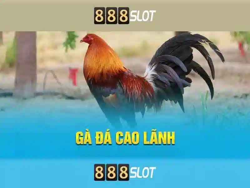 Banner giới thiệu nhà cái 888slot với đồ họa 3D sắc nét