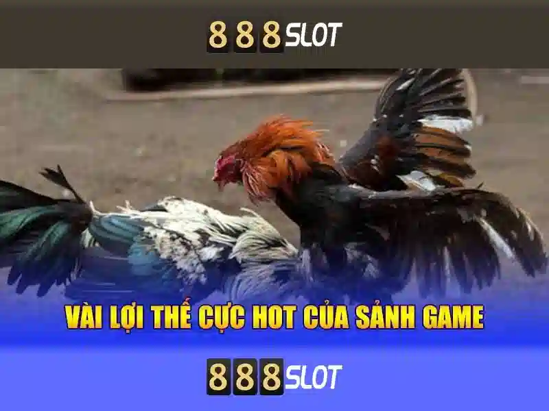 rtp 888 slot: tổng quan, trải nghiệm và đánh giá Soi kèo hiệp 1