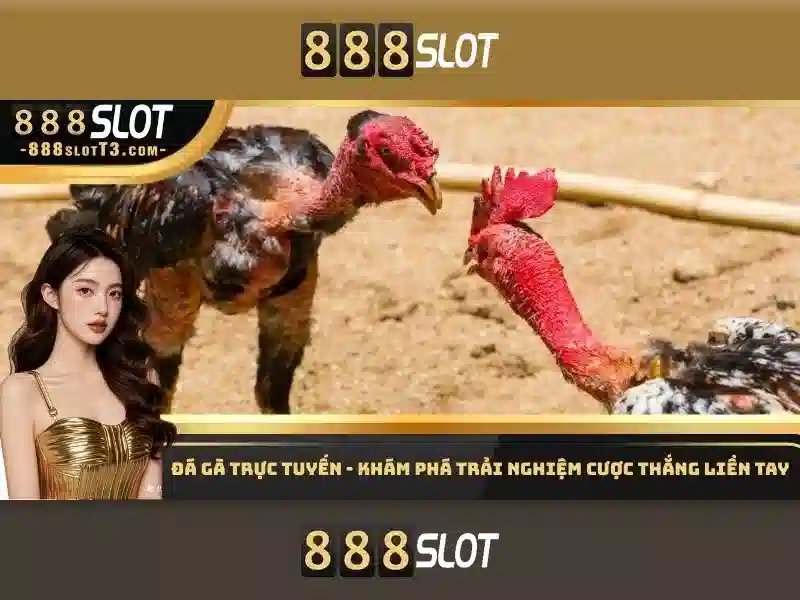 Đánh giá giao diện và trải nghiệm người dùng