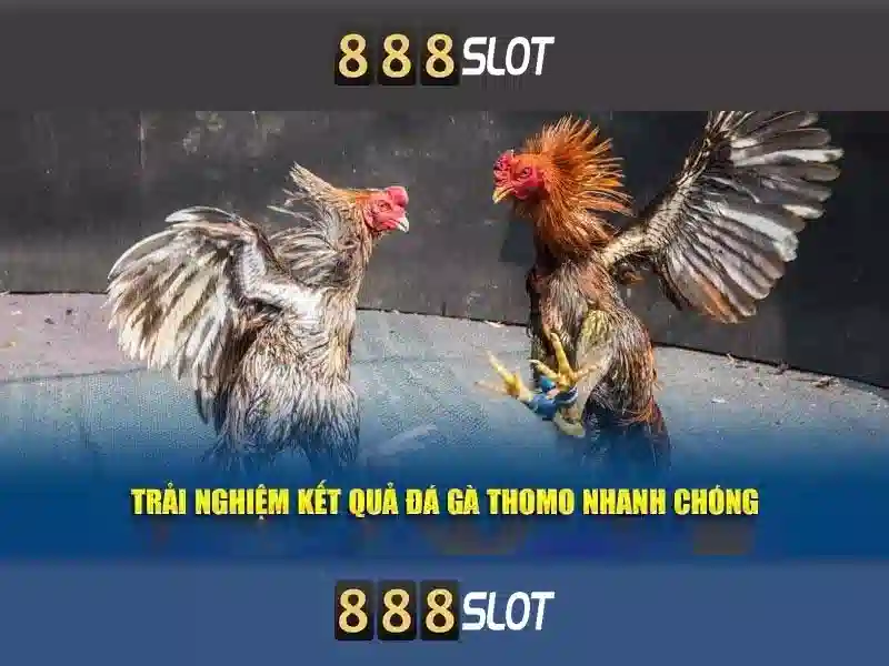 Soi kèo hiệp 1
