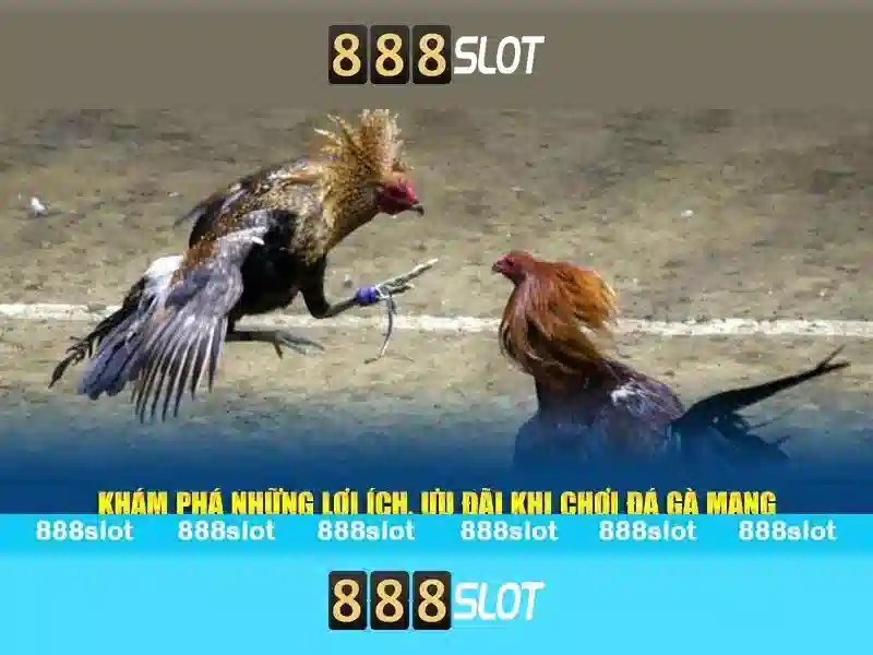 Cách bắt đầu và mẹo chơi hiệu quả Cách bắt đầu và mẹo chơi hiệu quả
