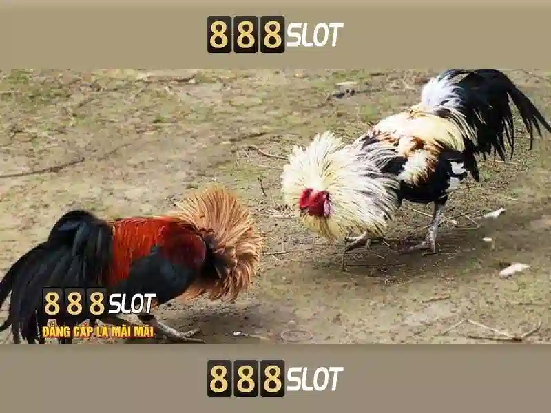Đăng Nhập