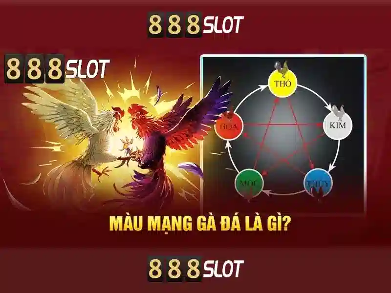 Hỗ trợ khách hàng và trải nghiệm người dùng