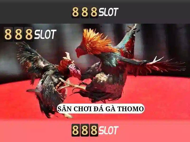 Soi kèo hiệp 1