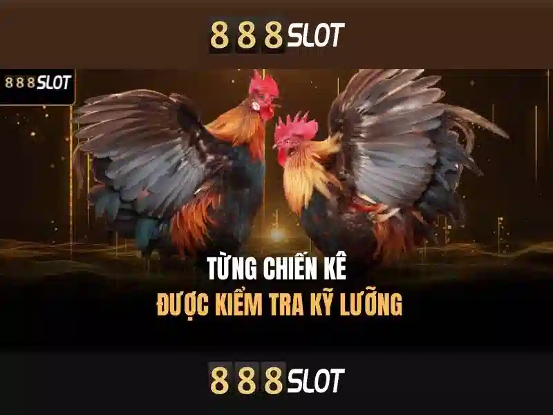 slot 888slots – Đột phá trải nghiệm slot uy tín và an toàn Soi kèo hiệp 1