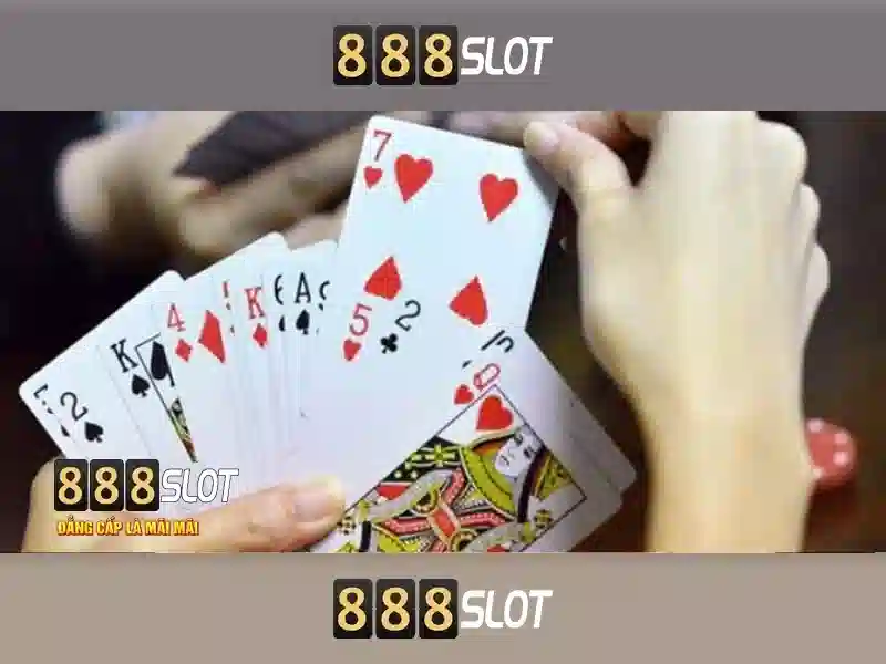 Ưu thế và năng lực cạnh tranh 