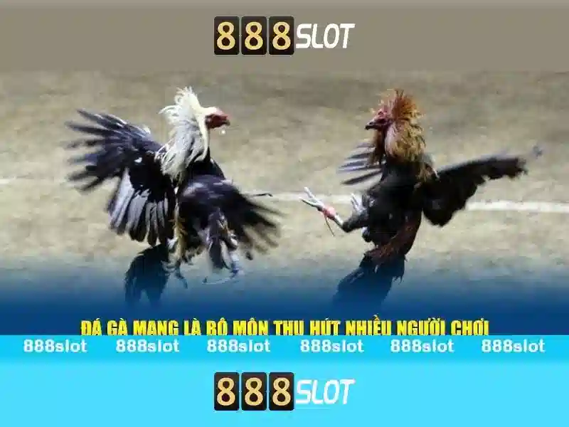 Soi kèo hiệp 1