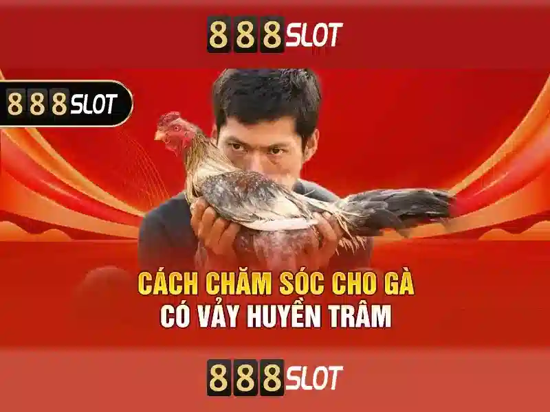 Đăng Nhập