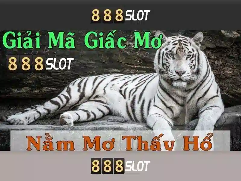 888slot: Nền tảng casino trực tuyến uy tín và giải trí cao 1 Đăng Nhập