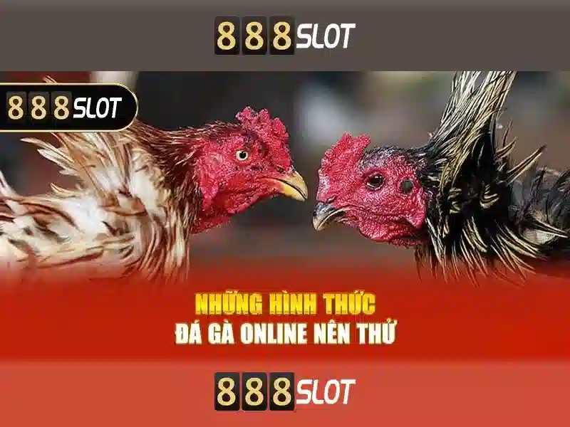 Trải nghiệm di động Trải nghiệm di động