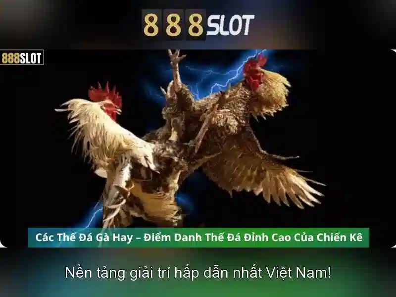Khuyến mãi và an toàn người chơi