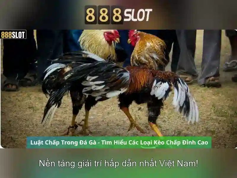 Đăng Nhập