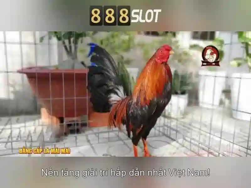 888slot – Trải nghiệm casino trực tuyến đỉnh cao 1 Đăng Nhập