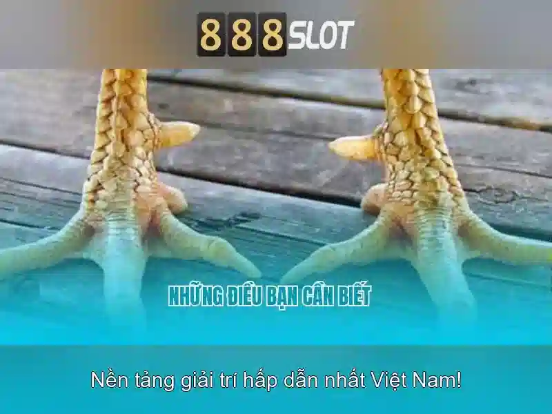 Trải nghiệm người dùng và giao diện