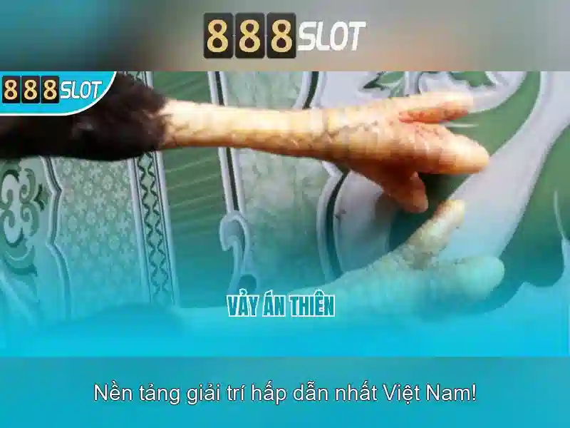 Trải nghiệm người dùng và an toàn