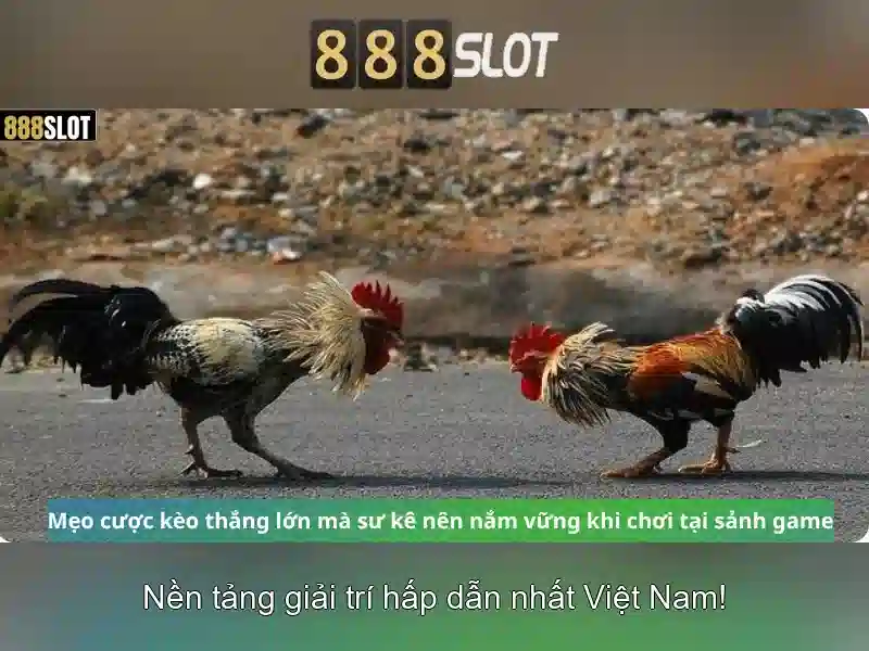Trò chơi và tính năng