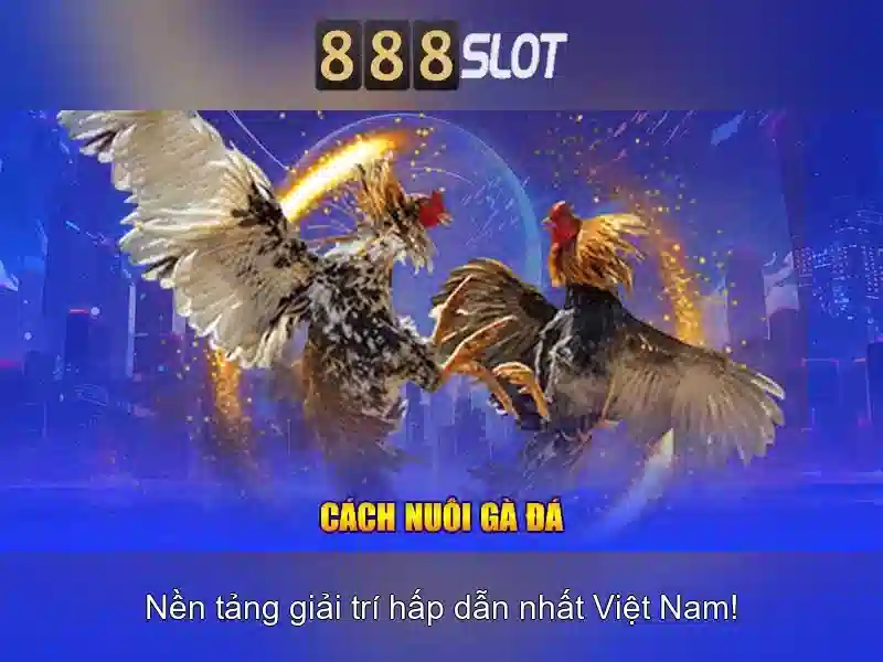 Soi kèo hiệp 1