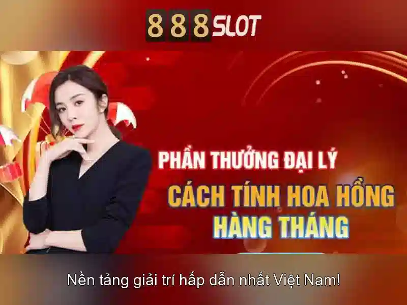 Tổ chức và trải nghiệm người dùng